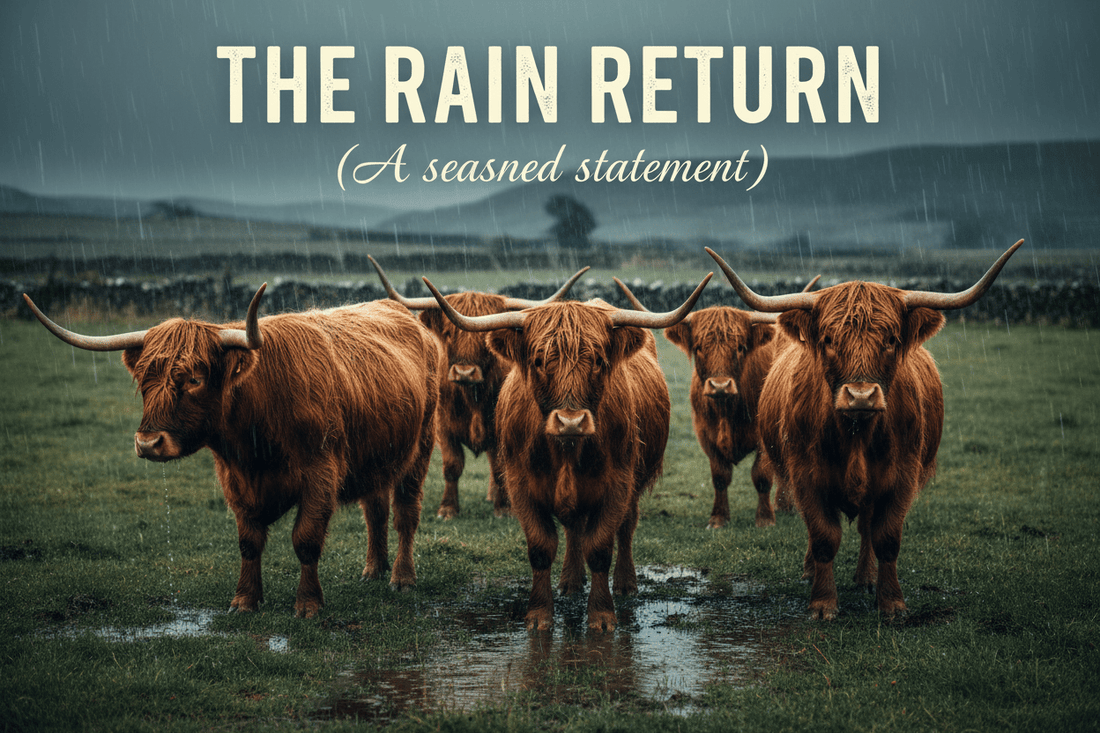 The Rain Return (A seasoned statement) - HomesteadHoboz