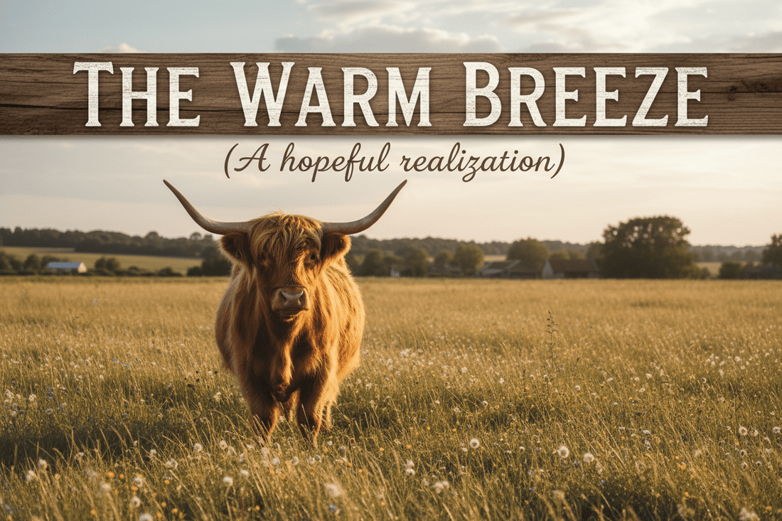 The Warm Breeze (A hopeful realization) - HomesteadHoboz