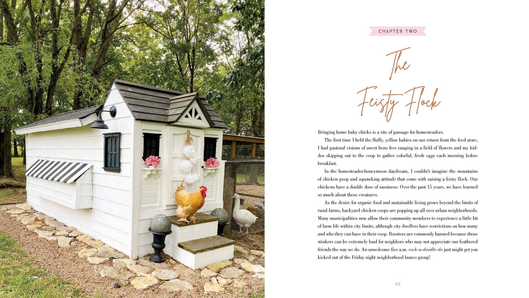 Harvest House Publishers Gift & Specialty Books - The Grace - Filled Homestead - HomesteadHoboz