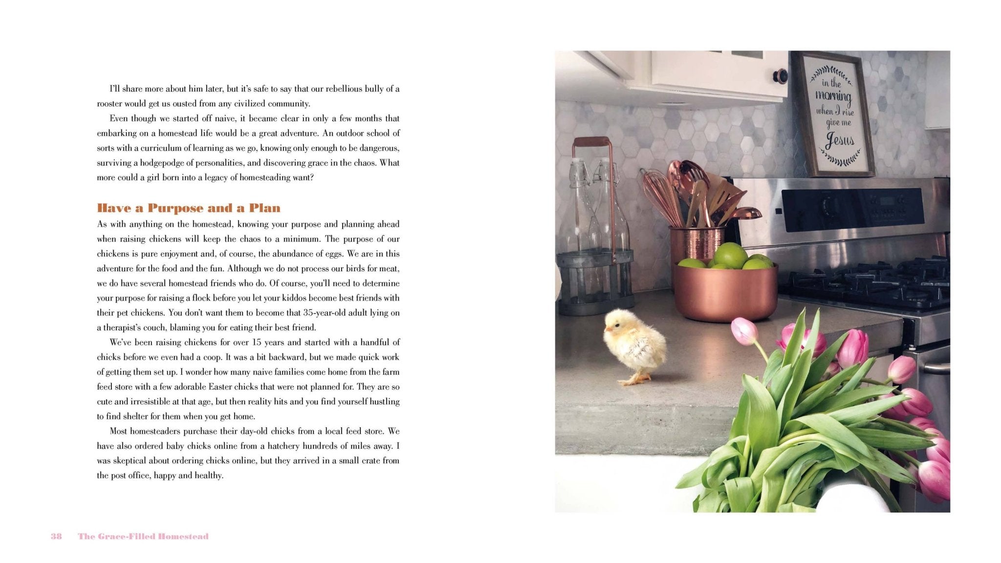 Harvest House Publishers Gift & Specialty Books - The Grace - Filled Homestead - HomesteadHoboz